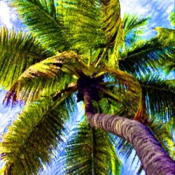 Tropical Palm